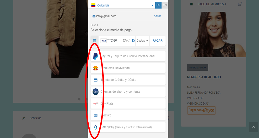 5.	Una vez a oprimido continuar aparecen con color las opciones de pago a su disposición lo que debe hacer es elegir una de las dispuestas.